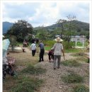 이순신 유숙지 이미지