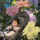 도와줘요 유모차카시트세탁 | 청주 우암동 유모차 세탁 후기ㅣ유모차 카시트 세탁할까 맡겨보니 달라요