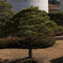 청심병원 이미지