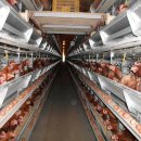 구구농장 이미지