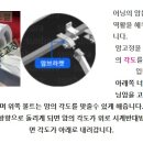 맛나과일 이미지