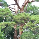 월천1리마을회관 이미지