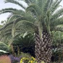 스테이더크로스 이미지