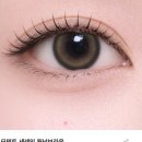 루킹굿 모먼트 세레인 월넛브라운 렌즈 후기