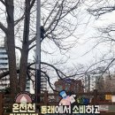 수민동-10 | 부산 온천천 벚꽃 개화 시기 및 실시간 현황 주차 명당 포토존 총정리