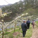 윤성농장 이미지