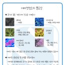 진에어컨 이미지