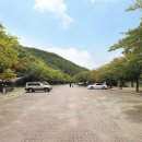 운문산 군립공원야영장 이미지