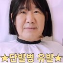 케이(k)연합내과의원 | [#18신혼일기] 머리하고 가다실9가 맞은 즐거운 주말