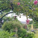 장화홍련전(薔花紅蓮傳)/작자 연대 미상,조선후기 가정소설,가정소설의 개념과 특징,장화홍련전의 특징...