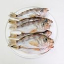 삼천포 용궁수산시장#8 이미지