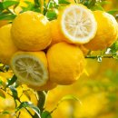 의료법인진성 연세모두의원 이미지