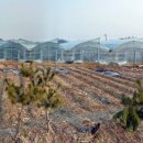 우정읍사무소 2 이미지