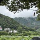 성라초교길 | 쿠팡 프레시 생새우회, 오징어 내돈내산 후기 | 가평 대형카페 추천 | 배드민턴 치는 멋진 여성을 보라