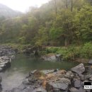 로얄파크장 이미지