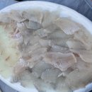 물고기 미포 이미지