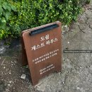 편지게스트하우스 | 제주도 동쪽 종달리 혼여행 소규모 게스트하우스 “도쉼” 후기