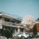 대성다방 - 남원시 인월1길 63 | 대성다방