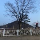 만두촌 이미지