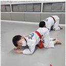 대림체육도장 | 구로구성인태권도 구로동 태권도 도장에서의 특별한 경험