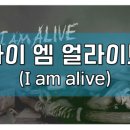 아이엠얼라이브 이미지