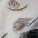 선명회센타 네이버블로그