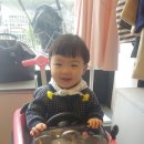 마망 엘리펀트 이미지