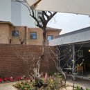 다방물볕 이미지