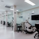 365효플란트치과의원 이미지