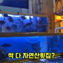 예대신선횟집 이미지