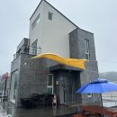 가덕 코이 이미지