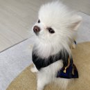 삼돌이왕숯불갈비 이미지