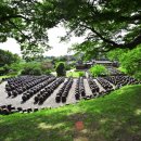 평창군농업기술센터 평창본소 | 슬로우푸드 체험 힐링 여행 - 느린 식사의 힘