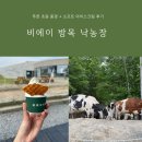 종낙농장 | 훗카이도 비에이 방목 낙농장 방문 가이드, 홋카이도 푸른 초원 풍경과 소프트아이스크림 솔직 후기