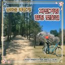 불노천자전거길 | 남이섬 여행후기 여행코스 추천 자전거 타며 즐기는 힐링 데이트코스
