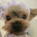 프리펫시티 이미지