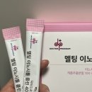 닥터원동물병원 | 다낭성 관리 차병원 닥터프로그램 멜팅 이노시톨 콜린 4000 후기