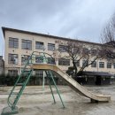 온니캣(ONLY CAT) | OAO FOOT WEAR SUNLIGHT CORE (Black × White) 구매후기