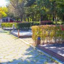 광주시민의숲 야영장 이미지