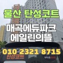 주식회사에코패스 | 울산 탄성코트 매곡에듀파크에일린의뜰 시공 완료!