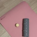 제대로 배워보는 홈트레이닝 | TPE요가매트 홈필라테스 홈트레이닝 티에스 운동매트