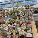 꽃담하우스 이미지