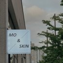 모앤스킨