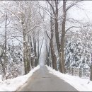 초원목장B 이미지