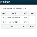 멍Mother | 59회 SQL 개발자 시험 미끄러진 후기 푼다