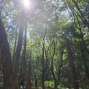 GS25 초읍성지곡 | 🌲 나무 위에서 만나는 짜릿한 모험! 초읍어린이대공원 트리클라이밍 체험