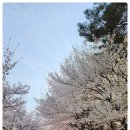 서울행복내과의원 이미지