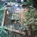 이천메디칼약국 이미지