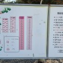 알멕스리조트 이미지