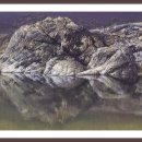 동강힐하우스 이미지